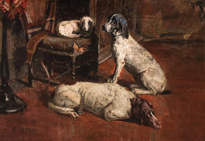 Perros en el estudio