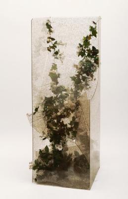 Gracias, cardenal Bergoglio