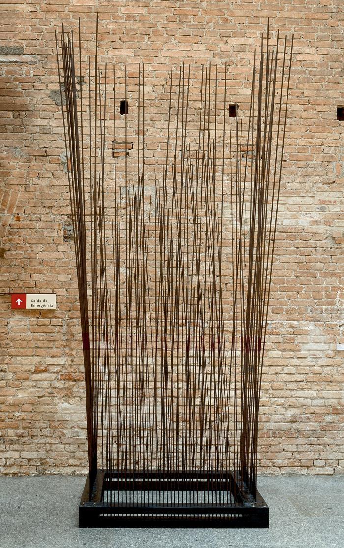 Gentileza Pinacoteca de São Paulo