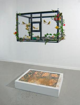 Gentileza Museo Castagnino+macro