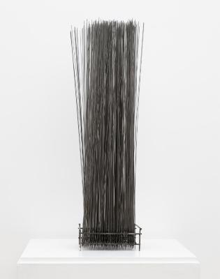 Estudio para Percanta