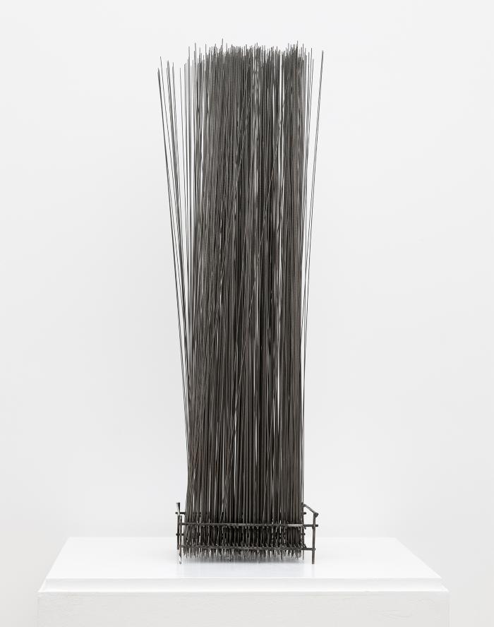 Estudio para Percanta